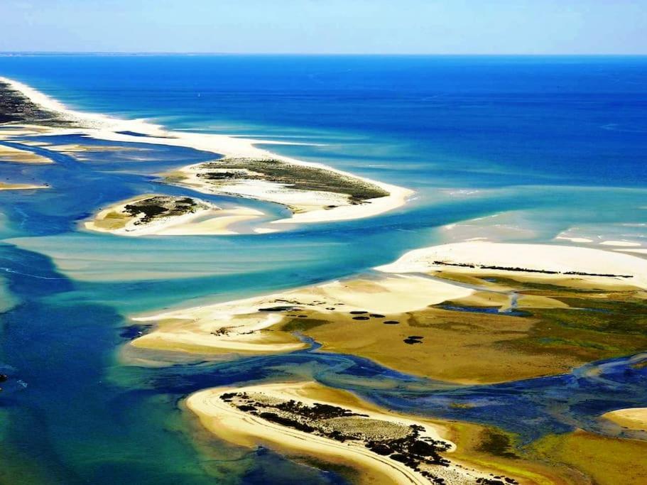 A Gaivota Ria Formosa Waterfront Lux Apart With Pool, Olhao, Algarve Ngoại thất bức ảnh